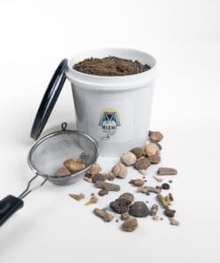 Fossil Dig Kit for Beginners | Dig Your Own Fossil
