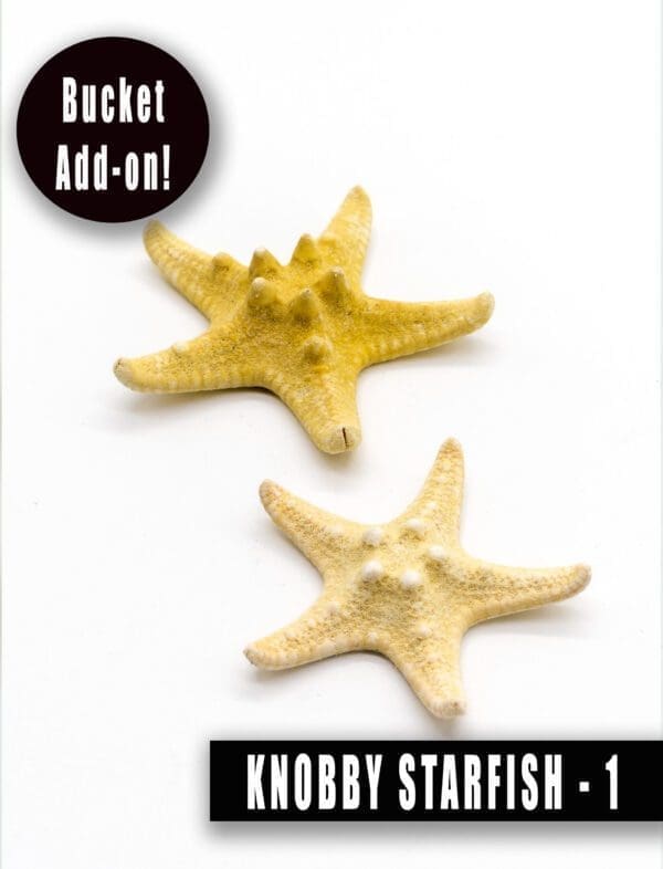 Knobby Starfish add on
