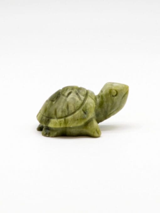 Jadeskildpadde