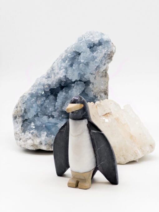 krištolinis pingvinas, raižantis oniksą