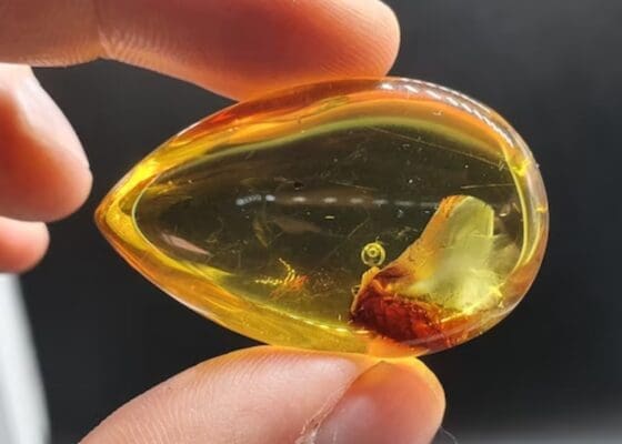 Amber enhydro crystal
