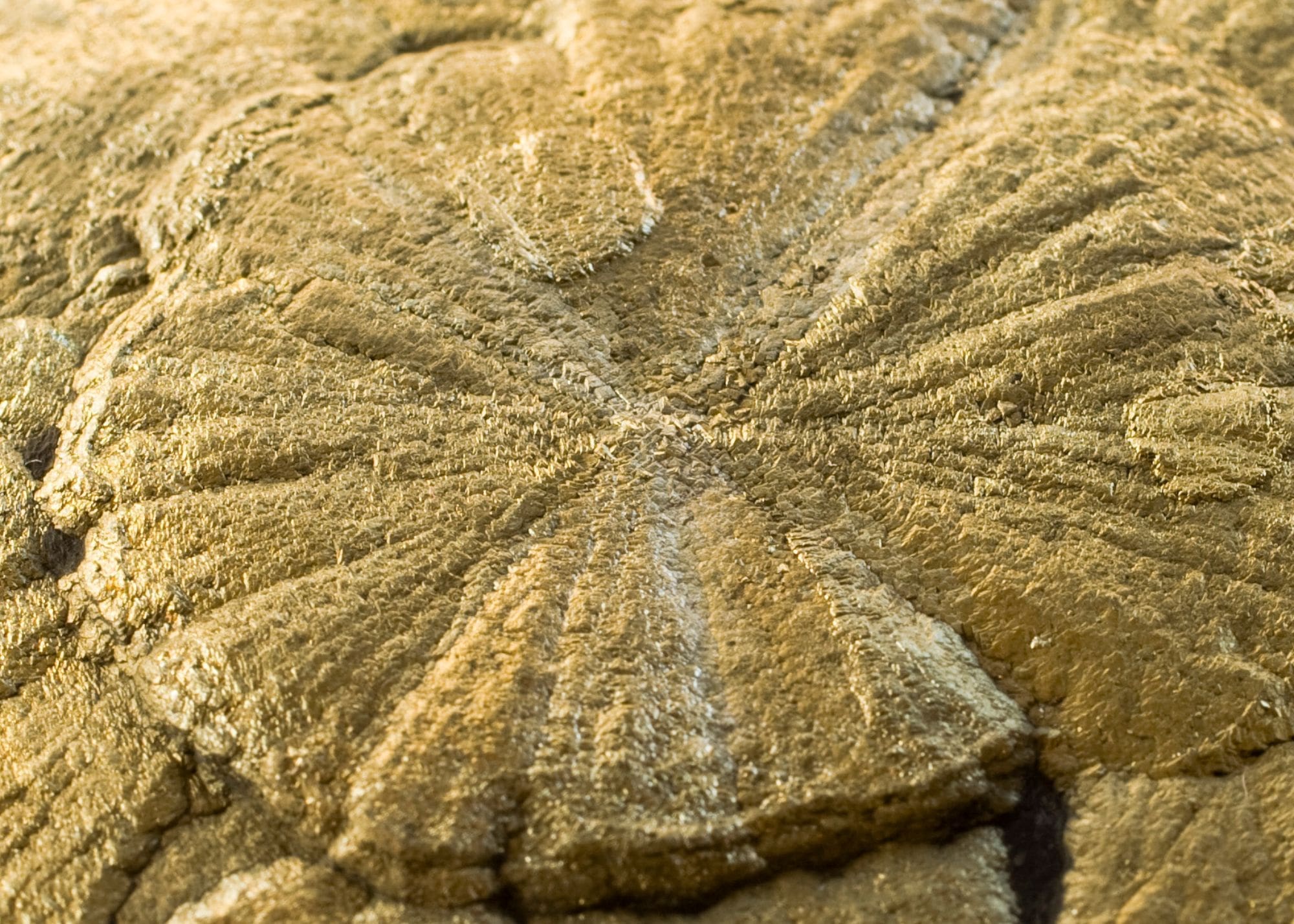 Gem Mining Indiana Dive into Gem Mining Adventures