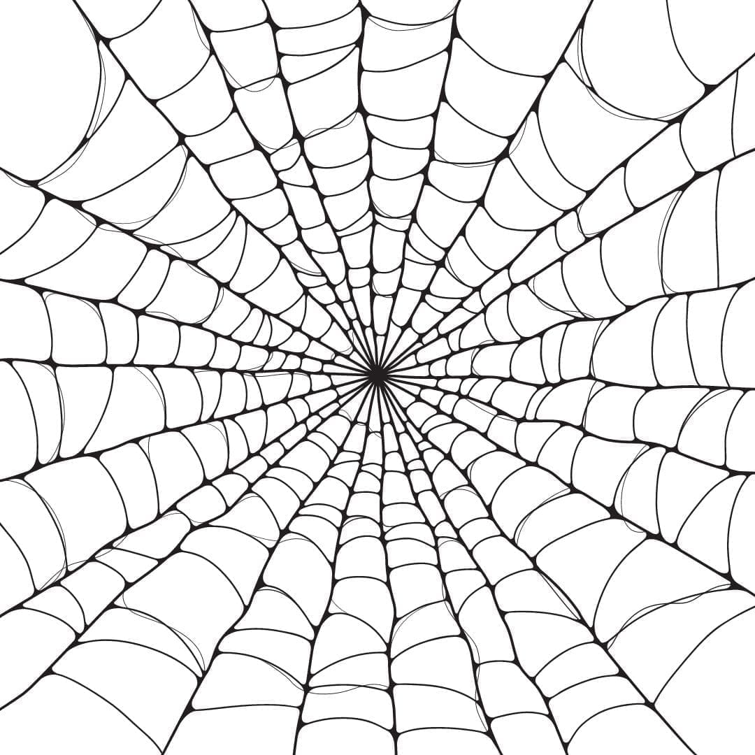 Spider Web