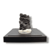 Mẫu thiên thạch Chondrite