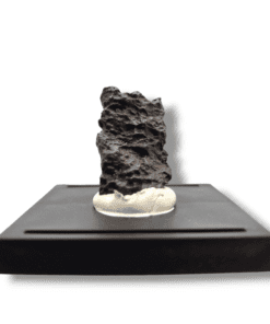 Campione di meteorite condrite