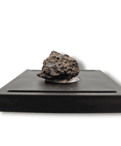 Campione di meteorite condrite